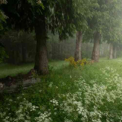  دارم دنیا رو یه رنگ دیگه می‌بینم تو آسمون میله می‌بینم و گیر کیلیدم